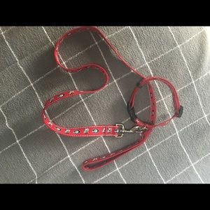 UGA Collar and Leash